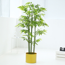 Simulation of fake green plants floor bamboo potted living room window clothing store indoor large home furnishings decoration
