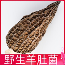 Morel dried goods 500g Yunnan specialty morel mushrooms dried mushrooms wild mushrooms Morel mushrooms tripe soup ingredients