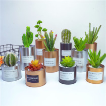 ins tinplate metal planting cans dry Vase ornaments living room flower arrangement cactus fleshy flower pot shooting props