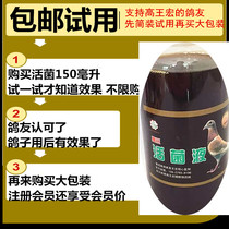 Taiwan high Wang Hongos live bacteria liquid 500 ml of intestinal water poo lactic acid bacteria Sying dove drug parrot bird