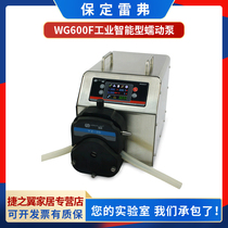 Baoding Refer WG600F Industrial intelligent peristaltic pump flow pump YZ35 Pump head