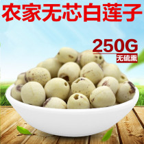 Xiangtan specialty white lotus seed dry goods to the core farm Xianglian 250g Dermabrasion through the heart inch three lotus lily silver fungus soup
