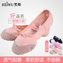 Dance shoes women's soft soles practice shoes leather head men's modern classical body cat's paw dance shoes adult ballet shoes