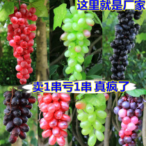 Simulation grape string plastic raisin plant fruit model fake vegetable fruit shop pendant Interior decoration ornaments