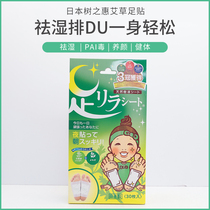 Japanese Foot Sticker 30 slices of Agrass Titanium Element This paved Village Natural Tree Liquid Footed Post