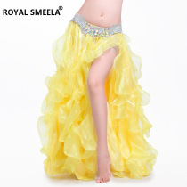 Belly and dance dress under the dress of dress summer 2022 new high - grade long skirt Oriental Dance Dance Dance Dance Skirt