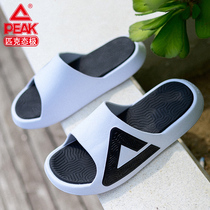 Peak State Slippers Waterproof Mens and Womens Shoes Summer Sandals and Slippers Sports Comfortable Home Drag Tai Chi Trendy Beach Shoes