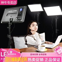 Shenniu LED fill light p260c flat panel photography light like live broadcast video recording light soft light always on light