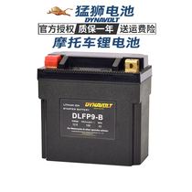  Lion motorcycle battery Odeon Baboon 125st150CT250SR12V lithium battery Spring breeze 400NK650GT