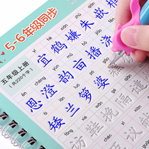 Sixfifth-grade upper register Language lettutor teaching Chinese characters Strokes Pen Cis-groove Practicing Calligraphy Posts in italics hard