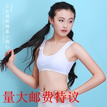 Explosive womens underwear cotton middle school students develop a chest vest without steel ring big childrens sports bra