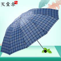 Paradise Umbrella Overlarge Umbrella Folding Large Number Business Reinforcement Windproof for male and female Umbrella Plaid students retro wind