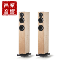 Finnish Original Clothing Import Penaudio Talvi Home Two Tracks High Fidelity Fever HIFI Floor Speaker