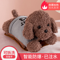 Hot Water Bag Warm Belly Rechargeable Explosion Proof Electric Warm Baby Female Compress Plush Cute Warm Hand Treasure Electric Heating Treasure Warm Water Bag