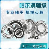 Bearing 608RS 6000 6001 6002 6003 6004 6005 6006 6007 ZZ