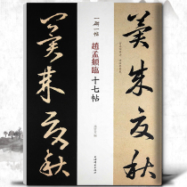 One stele one post Zhao Mengxi seventeen posts Sun Baowen Zhao Mengyi cursive calligraphy copying inscription ancient posts ink traditional brush calligraphy tutorial