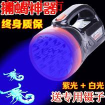 Scorpion light Photo Scorpion catch Scorpion special light Scorpion catch scorpion outdoor headlamp Super bright head-mounted purple flashlight