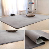 Brushed velvet cropped trunk mat van foot mat thickened waterproof coral velvet sofa coffee table blanket