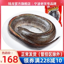 Lu Long seafood East China Sea frozen fresh eel 1000g bags a loaded seafood aquatic Shunfeng speed fit