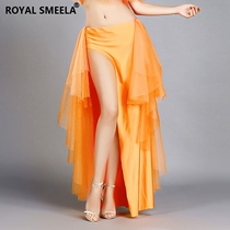 Belly dance half - body skirt dress under dress 2022 new beginner Oriental Dance dress spring and summer dress dress