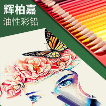 German Glow Berggia Oily Color Lead 48 Color Suit Beginners Watercolor Painting Pen 72 Color Pencil Rider Castle 36 Color Handpainted Professional Childrens Painting Students Private Box Costume