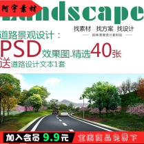 New Road Street Driveway Sidewalk Greening Design PS Garden Forest Landscape Effect Frutus PSD Stratigraphic Material Collection