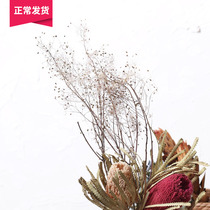 (Mountain Trees) Flowers Flowers Natural South Africa Imports Dry Bouquet Flower Arrangement Art Pendulum Bar Clubhouse Furniture Accessories