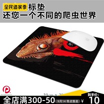 Reptile mouse pad tortoise chameleon green iguana frog and other reptile personality patterns