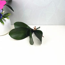 Silk screen floral material diy handmade silk stockings butterfly orchid flower leaf flower arrangement accessories Rain and sister materials shop