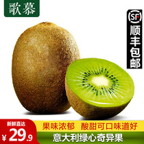 Singu Italy imported Kiwi fruit green fruit big fruit 12 fresh fruit green heart kiwi fruit