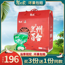 Lanzhou fresh sweet Lily Lily 3kg edible authentic specialty high-end gift box Non-dry goods