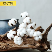 Mountain tree flower color cotton single country style craft eternal cotton home furnishings exhibition cotton dried flowers