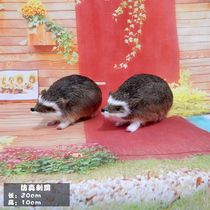 Simulation Hedgehog Paparazzi Real Leather Hair Suede Toy Hedgehog Model Pendulum Small Hedgehog Doll Handicraft Simulation Animal