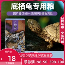 Yucui egg turtle tortoise grain razor Musk narrow bridge red helmet deep water turtle benthic turtle sinking type special tortoise grain
