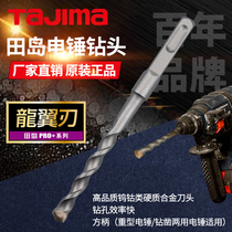 Japan Tanjima Tajima electropituitary percussion drill concrete stiletto wear wall swivel head pituitary multifunction electric drill