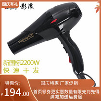 Shadow wave 61002200W hair salon Barber Shop hot and cold wind professional home available high power air dryer