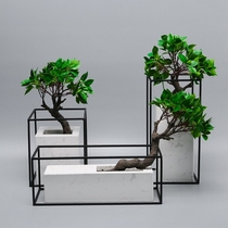 New Chinese Emulation Flower Banyan Tree Furnishing Living Room Home Plant Potted Decorations Green Planting Bonsai Office Pendulum