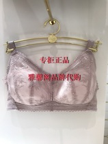 Manifen shopping mall with 19 autumn and winter without steel ring large cup side collection lace gathering bra 20840457