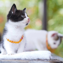 (Xiaoya Jewelry)Data to Tourmaline Opal Beeswax Turquoise Emerald 18K gold inlaid 24K gold