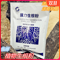 Green new powerful fast plant rooting powder fruit tree flower seedling cutting transplanting explosive root promoter