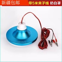 Battery lamp portable 12v60v Volt car energy-saving lamp DC maintenance lighting fruit stall electric car lamp