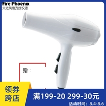 Fire Phoenix 8300 hair dryer 3000A high power hot and cold air household hair stylist hair salon