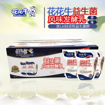Henan specialty flower cow original yogurt 180g16 bags probiotics flavor fermented milk whole box breakfast milk