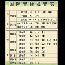 Cognitive standard phonetic pronunciation 26 formulas Pinyin vocalization British label Wall Chart-preschool childrens early education English