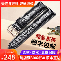 Zhisheng crocodile watch with male Lady real belt butterfly buckle for Longines Omega Meto Tissot West Tiesheng