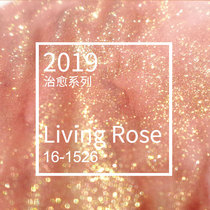 (2020 healing color rose gold) gold powder color ink dip water pen glass pen ink 18ml pen gold powder Ink flash powder ink pen non-carbon rose gold