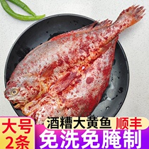 Distillers yellow croaker Fujian Ningde Xiapu large yellow croaker wine red croaker fresh yellow croaker commercial wholesale