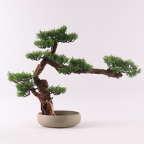 New Chinese style simulation welcome pine home decoration model room Hotel green plant decoration Club hall Pine soft decoration