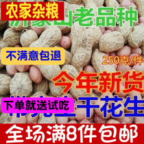 This year just come down to new stock sundry with shell peanut dried peanuts to eat peanuts that can germinate 250 gr