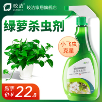 Green dieticide household small black flying insect aphid spray indoor flower green plant potted plant Universal